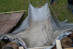 img_1266627802_848