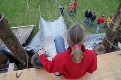 img_1266627811_486