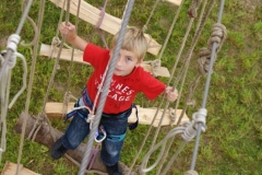 img_1266628061_194