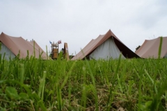 img_1266628153_465