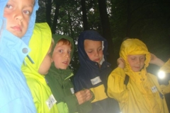 img_1266688849_10