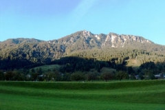 img_1275387293_258