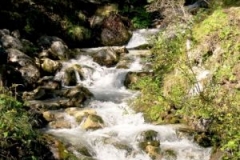 img_1275387341_381