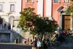 img_1275387368_384