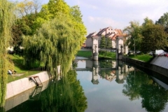 img_1275387399_583