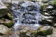 img_1283102793_269