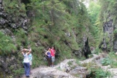 img_1283102815_397