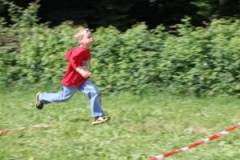 img_1353964770_330
