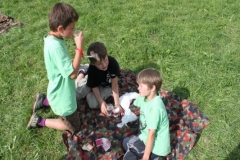 img_1353964779_289