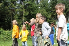img_1353964791_268