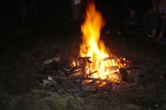 img_1266761275_587