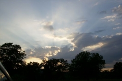 img_1266685035_776