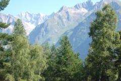 img_1266683255_466