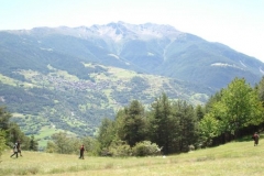 img_1266683275_484