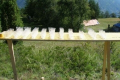 img_1266683285_836