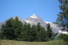 img_1266683288_222
