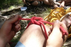 img_1266683487_505