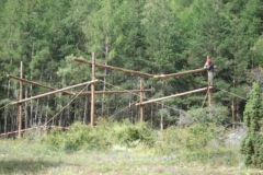 img_1266683661_288