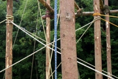 img_1266686331_217