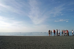 img_1266687285_311