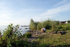 img_1266687294_590