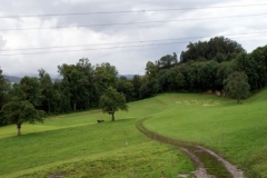 img_1266687640_758