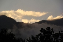 img_1285698864_445