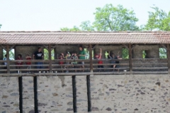 img_1283108494_459