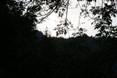 img_1283105055_2