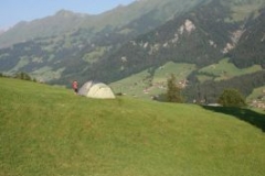 img_1283105203_1