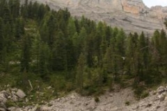img_1283105393_645