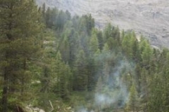 img_1283105485_398