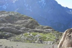img_1283105760_569