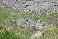 img_1283105781_144