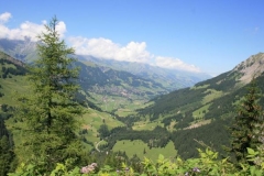 img_1283105969_686