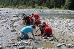 img_1352151487_431
