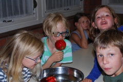 WöLa 14 Lenzburg (26)
