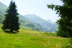 P1040194