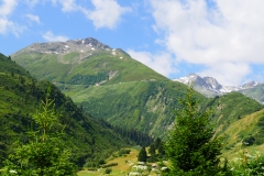 P1040621