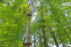 IMG_20230710_151754_HDR