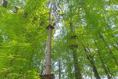 IMG_20230710_151802_HDR