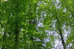 IMG_20230710_151815_HDR
