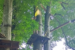 IMG_20230710_152027_HDR