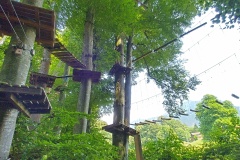 IMG_20230710_152031_HDR