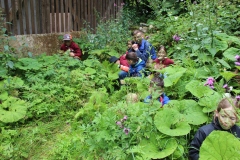 IMG_7048