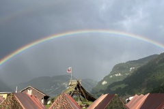 IMG_6384